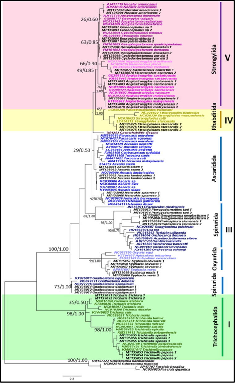 Fig. 1