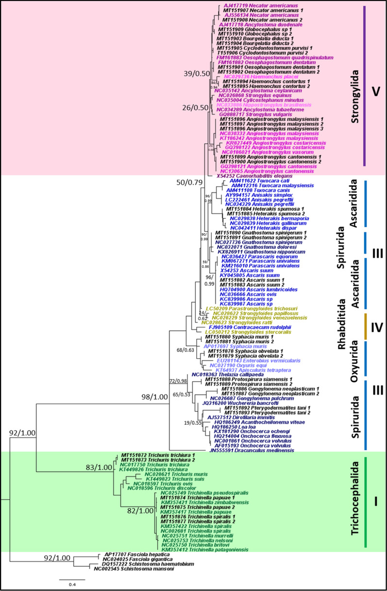 Fig. 2