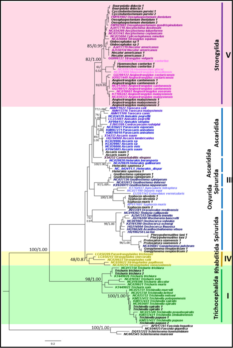 Fig. 3