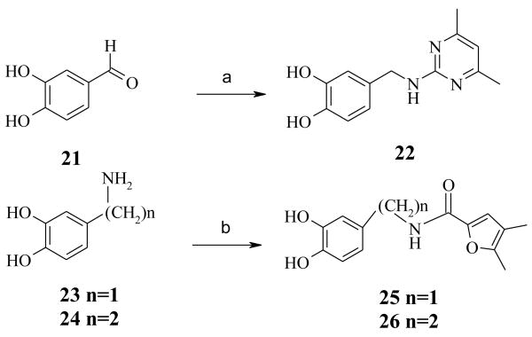 Scheme 2