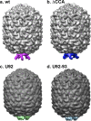 Fig 5