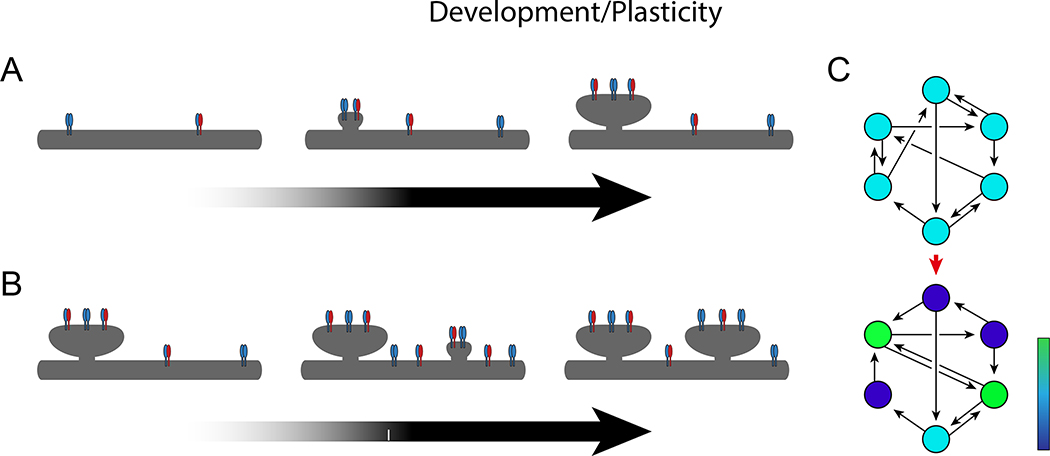 Figure 6.