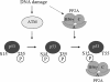 FIG. 6.