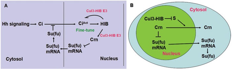 Figure 8