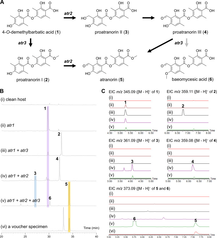 FIG 4