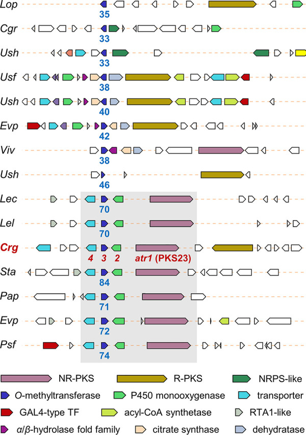 FIG 3