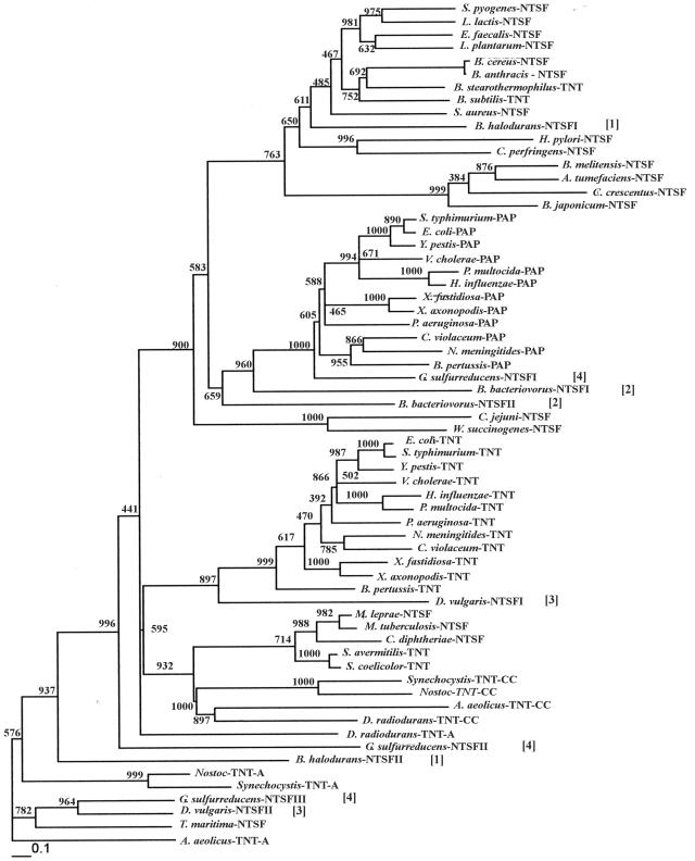 FIG. 1.