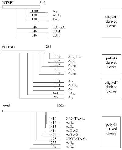 FIG. 5.