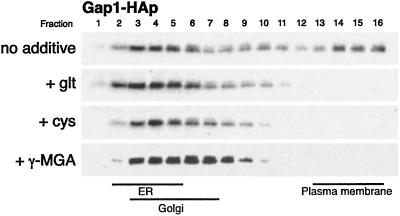 Fig 4.