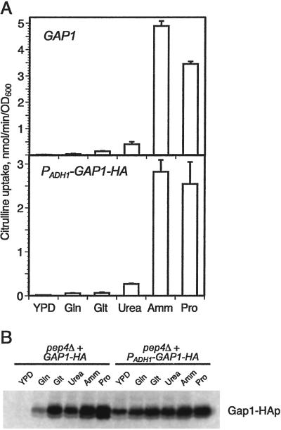 Fig 1.