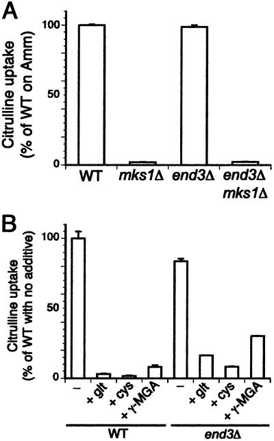 Fig 5.