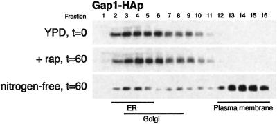 Fig 6.