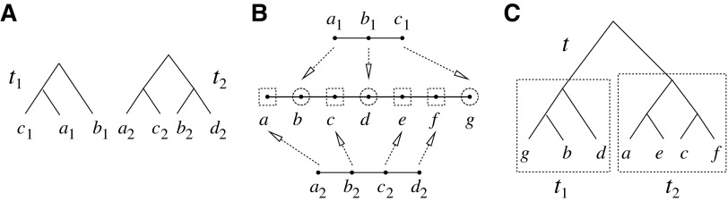 FIG. 8.