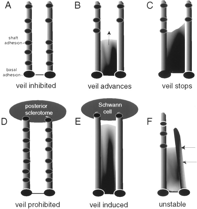 Fig. 9.