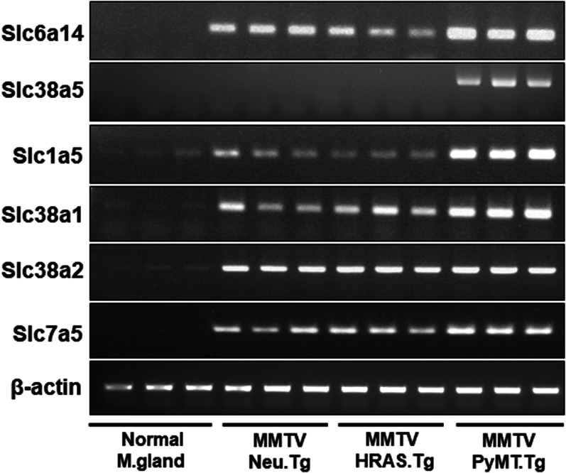 Figure 4.