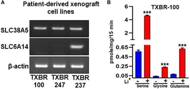 Figure 3.