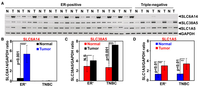 Figure 1.