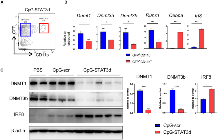 Figure 4