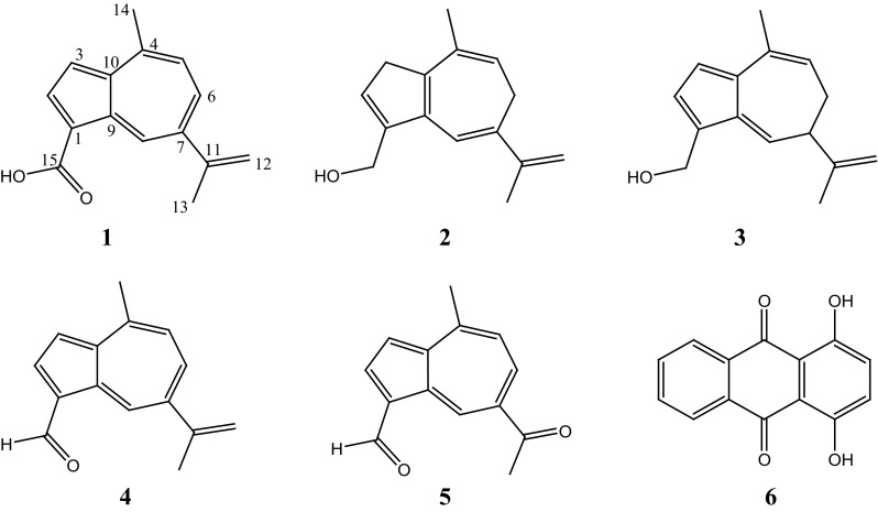 Fig. 1