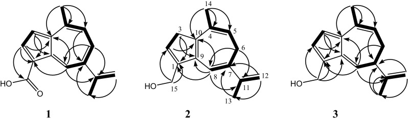 Fig. 2