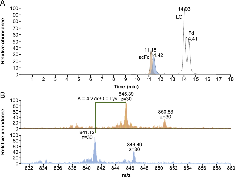 Fig. 3