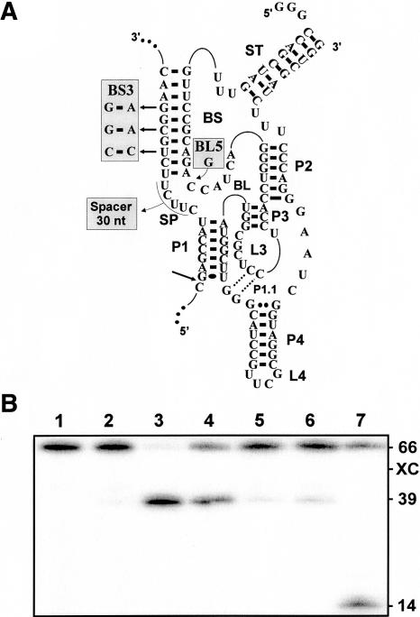 FIGURE 7.