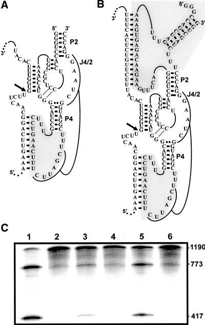 FIGURE 9.