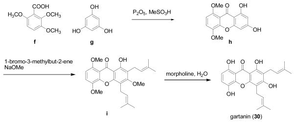 Scheme 2