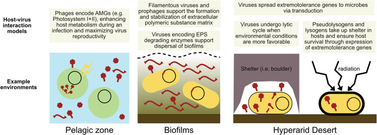 FIG 6