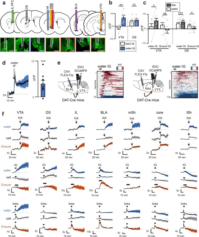 Extended Data Fig. 8