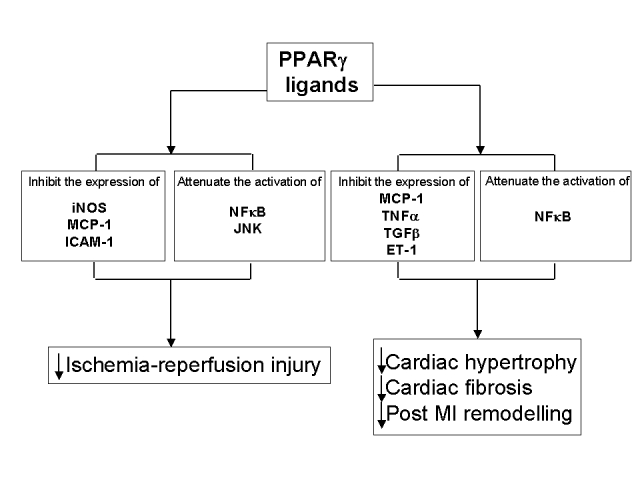 Figure 2)