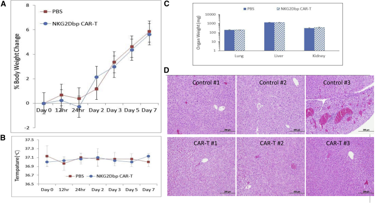 Figure 6