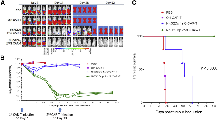 Figure 2