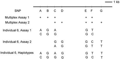 Fig. 3.