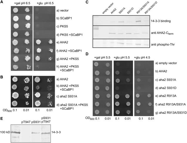 Figure 10.