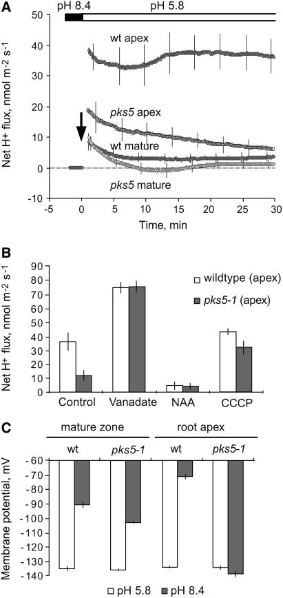 Figure 4.