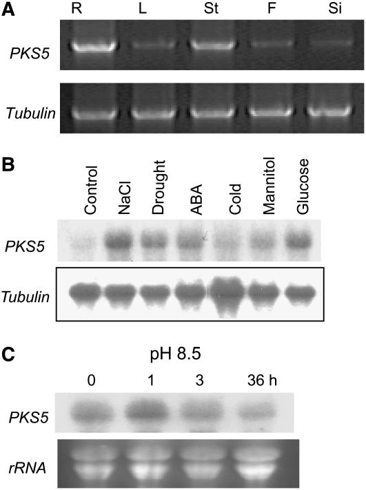 Figure 6.