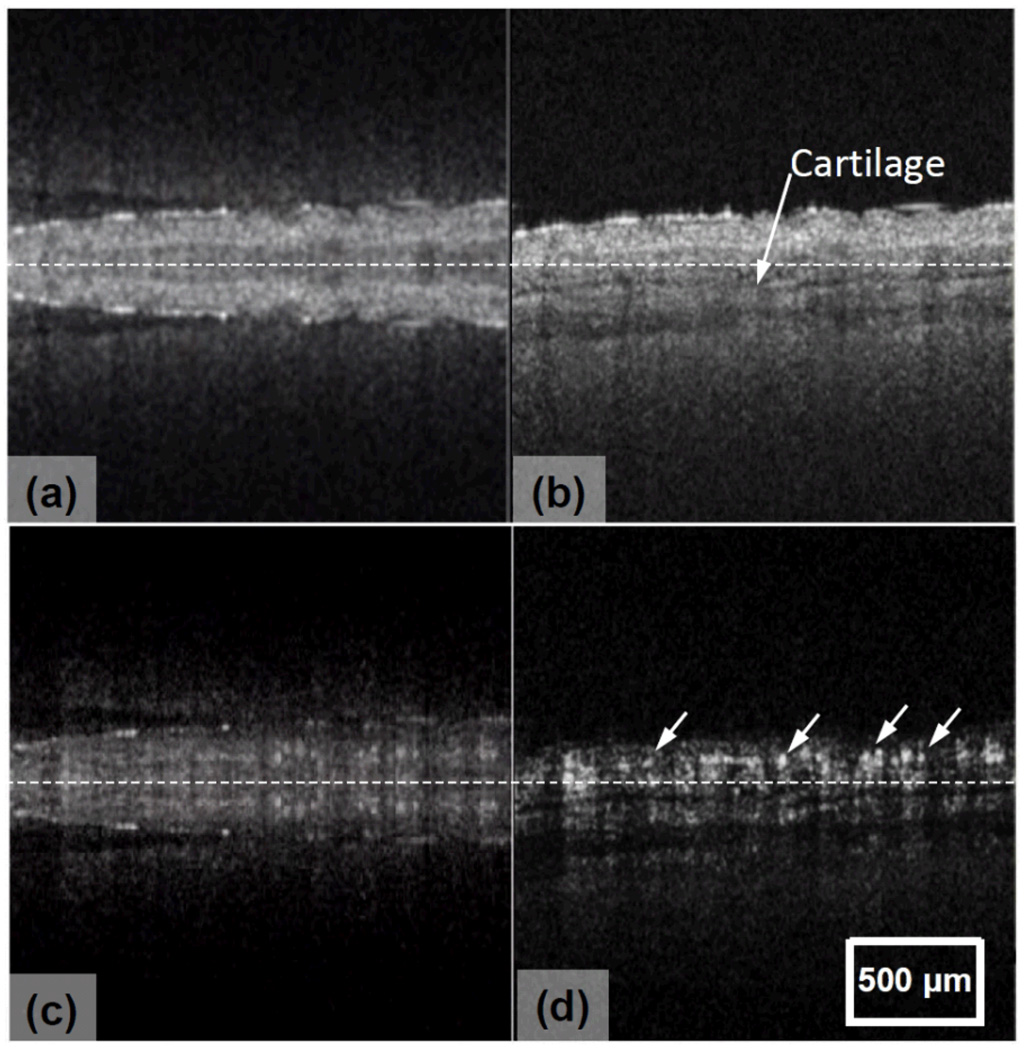 Fig.3