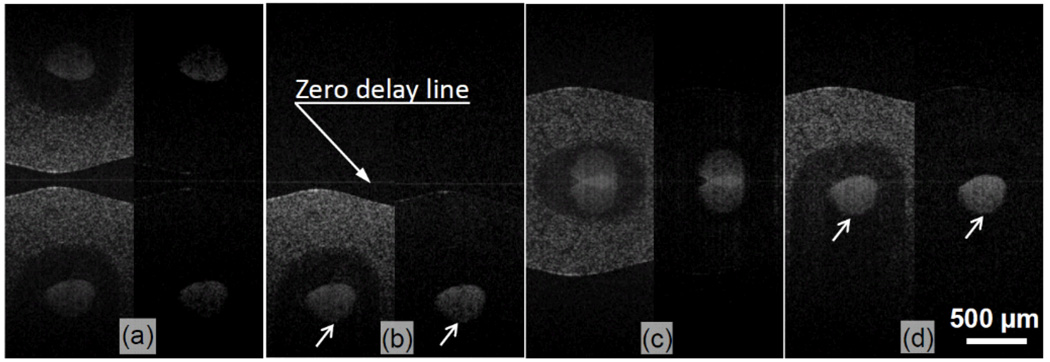 Fig.2