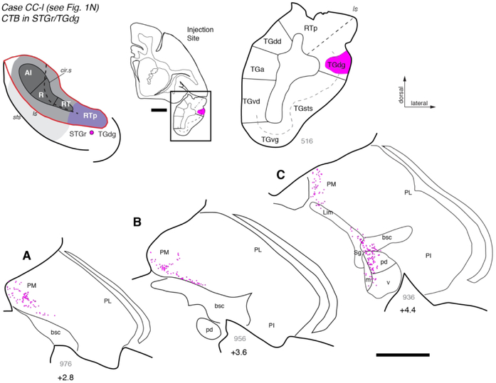 Figure 12.