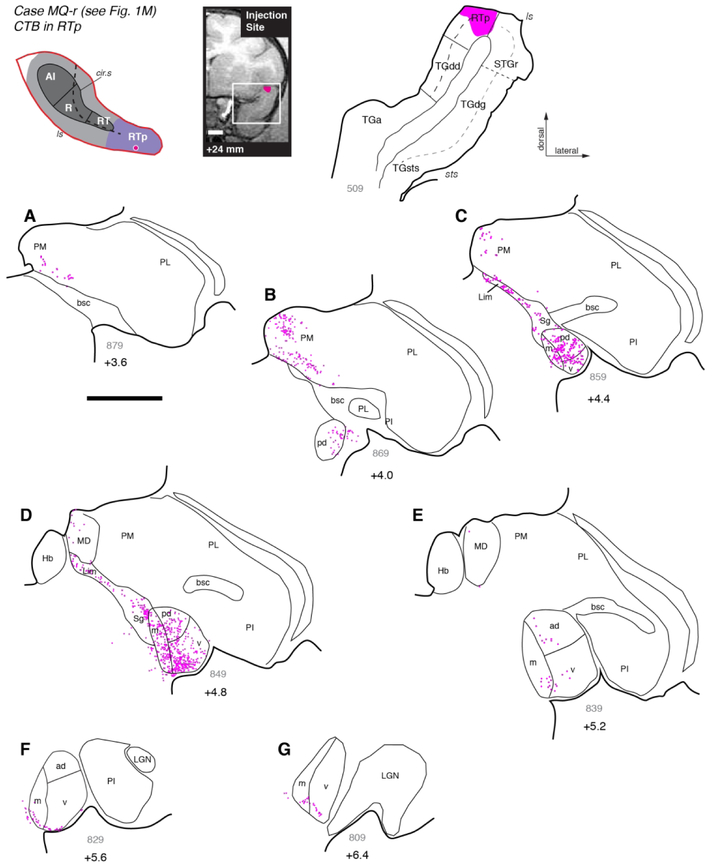 Figure 9.