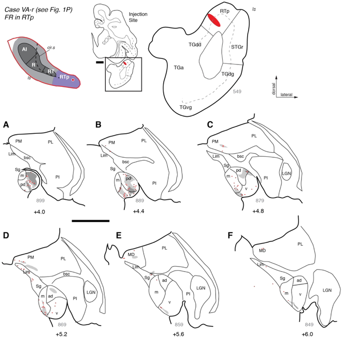 Figure 10.