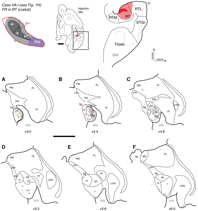 Figure 7.