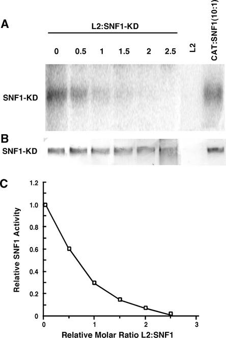 Figure 6.