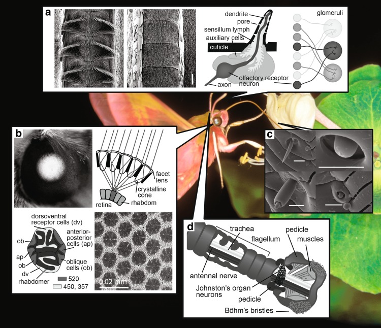 Fig. 2