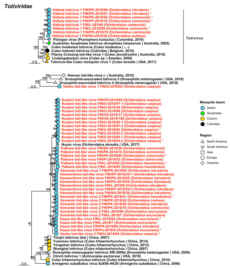 Figure 21