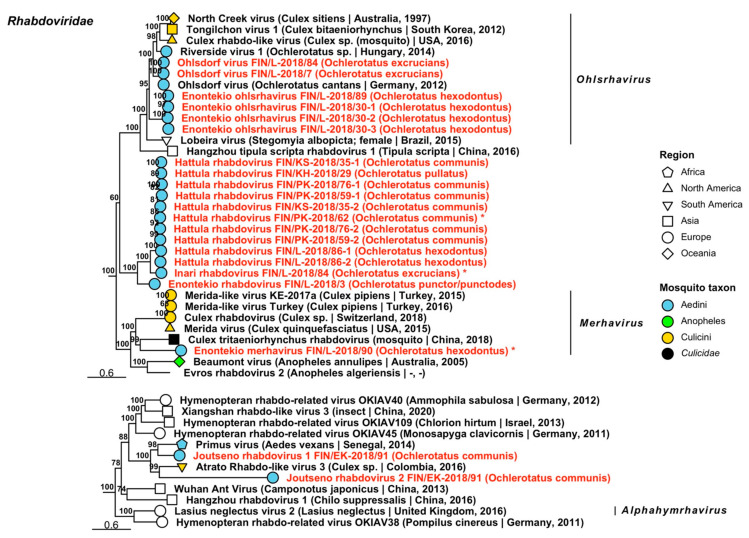 Figure 14