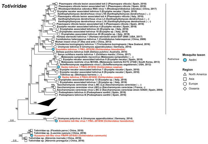 Figure 22