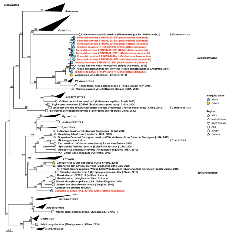 Figure 20