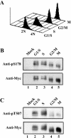 FIG. 8.